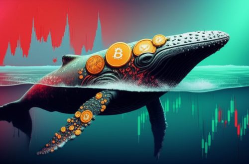 Whale Song in a Sea of Red: The Anatomy of Machi Big Brother’s Crypto Rollercoaster